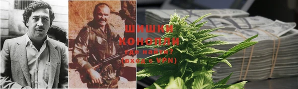 мескалин Богданович