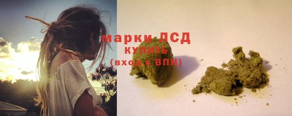 СК Богородицк
