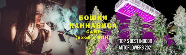 мескалин Богданович