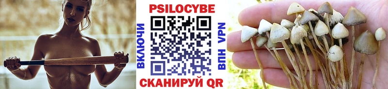 Купить Белореченск Галлюциногенные грибы ЛСД